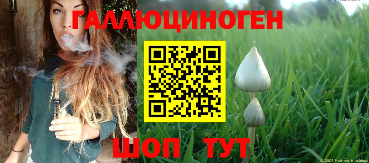 Азнакаево  цена   Галлюциногенные грибы Cubensis  Вход с VPN  Галлюциногенные грибы MAGIC MUSHROOMS 